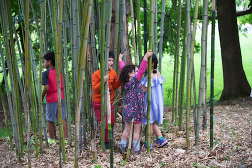 Children playing among bamboo stalks