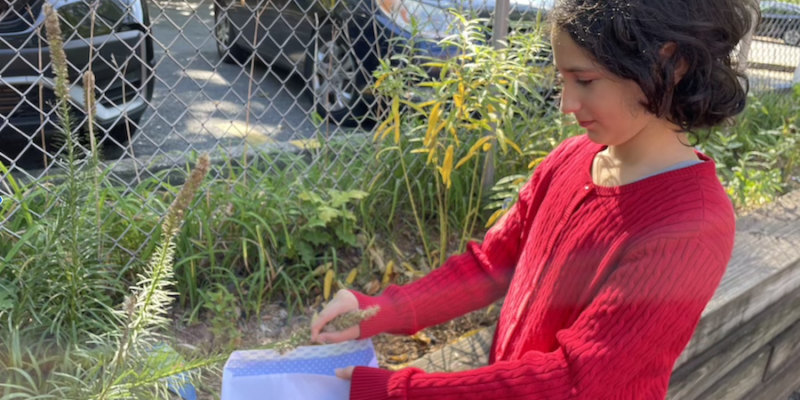 Sunday School Tends its Flourishing Pollinator Garden